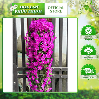 chùm  hoa đỗ quyên_rủ trang trí_hoa giả trang trí ( không kèm giỏ treo )