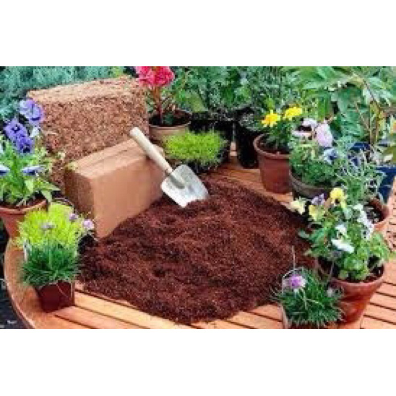 Mùn dừa đóng bao bịch nhỏ 250gram trồng cây, trộn giá thể