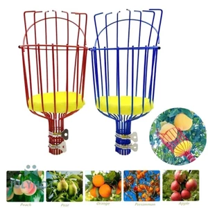 Lồng Hái Trái Cây Giỏ Hái Trái Cây Trên Cao Có Xốp Lót Bảo Vệ Tiện Lợi Không Kèm Cán DASEP