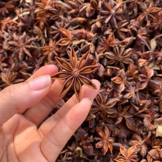 Hoa Hồi Khô loại 1 thương hiệu Lá Ngọc gói 500g