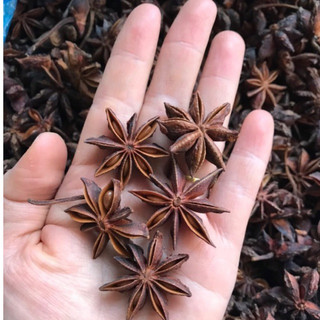 Hoa Hồi Khô loại 1 thương hiệu Lá Ngọc gói 500g