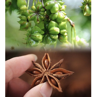 Hoa Hồi Khô loại 1 thương hiệu Lá Ngọc gói 500g