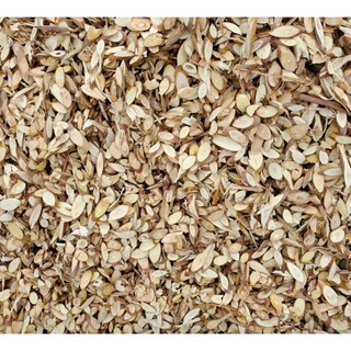 Cây Dâu Tằm Khô Tốt Cho Người Tiểu Đường thương hiệu Lá Ngọc