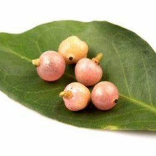 Bưởi Bung Khô giảm đau thanh nhiệt thương hiệu Lá Ngọc Gói 1kg