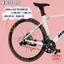 Xe Đạp Đua Milesco EXS GEN 5 và Touring Milesco EXT GEN 2 Khung Nhôm Dẹp - Có Cối Nổ - Líp Thả - Khung Nhôm