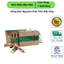Hồng Sâm Nguyên Chất Tẩm Mật Ong Tốt Cho Sức Khỏe và Sắc Đẹp