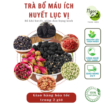 Combo 5 gói trà - trà bổ máu ích huyết lục vị (hắc kỷ tử, kỷ tử, dâu tằm, táo đỏ, nụ hồng, nụ nhài) - Thaomocngoclinh.