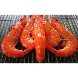 ASTAXANTHIN TẠO SẮC ĐỎ CHO TÔM CÁ