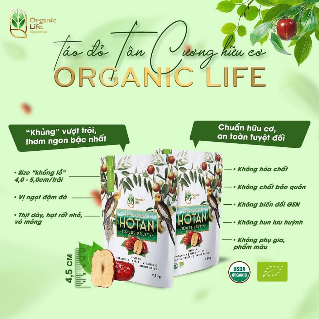 Táo đỏ Tân Cương hữu cơ Organic Life Dried Hotan Jujube