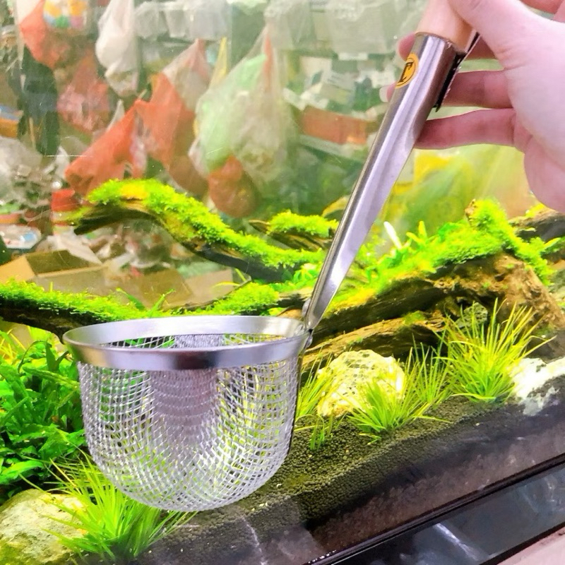 vợt trụng hủ tíu - phở cán gỗ tiện lợi