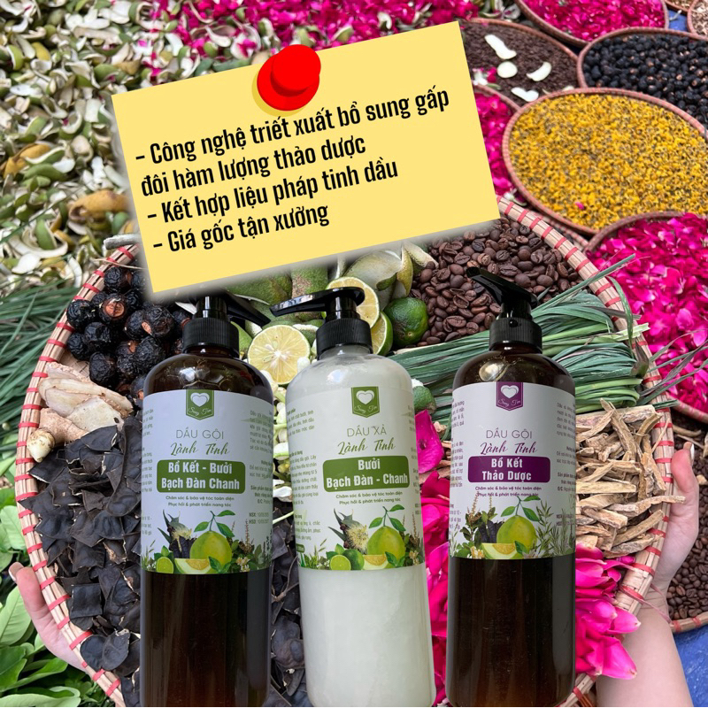 Dầu gội bồ kết , xả Bưởi bạch đàn chanh, thảo dược 1l làm mềm, mượt tóc ...