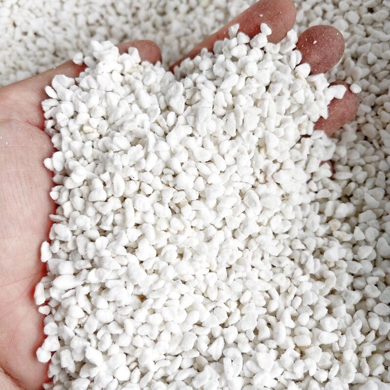 Đá perlite đá chân trâu hàng nhập khẩu cao cấp,giá thể trộn làm đất trồng sen đá và cây kiểng lá