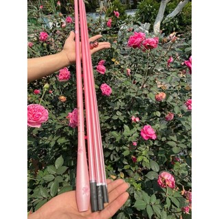 Cần Câu Đài Hoa Anh Đàoo 4h Chuyên Rô Riếc Cảm Giác Giữ Cá Tốt