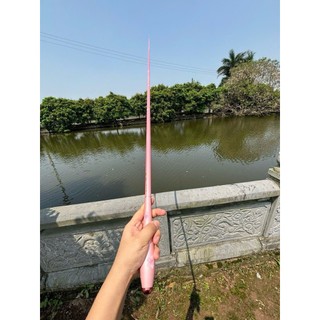 Cần Câu Đài Hoa Anh Đàoo 4h Chuyên Rô Riếc Cảm Giác Giữ Cá Tốt