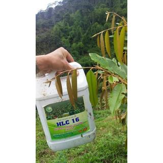4 Can HLC16 Phân bón Hữu Cơ Cao cấp đa, trung, vi lượng - Phân bón lá, kích mầm, dưỡng trái cho cây ăn quả. can 5 L