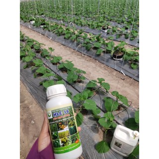 4 Can HLC16 Phân bón Hữu Cơ Cao cấp đa, trung, vi lượng - Phân bón lá, kích mầm, dưỡng trái cho cây ăn quả. can 5 L