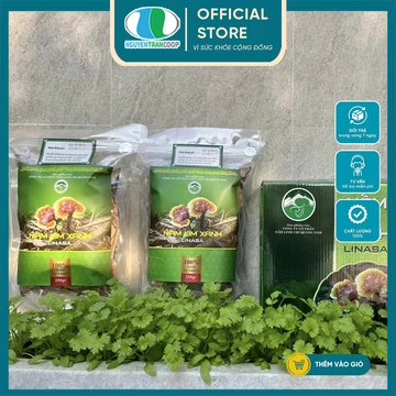 Nấm Lim Xanh Rừng Quảng Nam { LiNaSa } - Thải độc Gan, nâng cao sức đề kháng