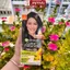 Thuốc Nhuộm Tóc Garnier Hộp/Gói CHÍNH HÃNG - Nhuộm Tóc Tại Nhà Nâu Lạnh, Bạch Kim, Xám Khói, Nâu Caramel - JAPARI