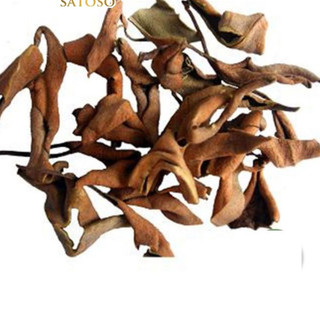 Cây Thạch Vĩ Khô Lá Ngọc Hỗ Trợ Thanh Lọc Cơ Thể, Cân Bằng Sức Khỏe Gói 500g