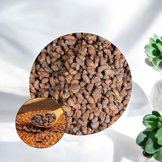 Nữ Trinh Tử Khô, Sạch Thượng Hạng loại 1 thương hiệu Lá Ngọc