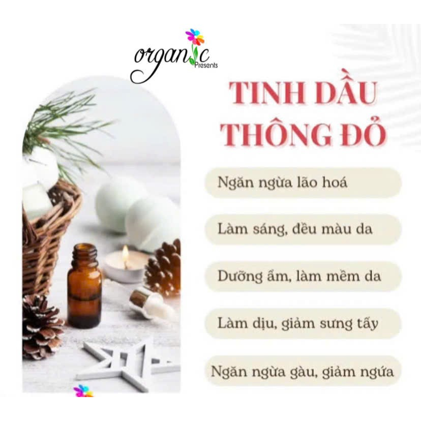 TINH DẦU GỖ THÔNG ĐỎ (RED PINE ESSENTIAL OIL)