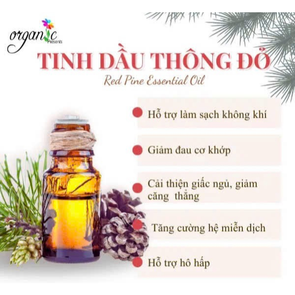 TINH DẦU GỖ THÔNG ĐỎ (RED PINE ESSENTIAL OIL)