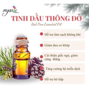 TINH DẦU GỖ THÔNG ĐỎ (RED PINE ESSENTIAL OIL)