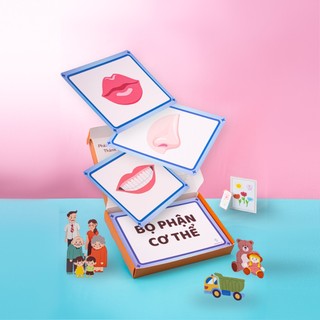 Flashcard tập 2 (Chủ đề bộ phận cơ thể, thành viên gia đình, đồ vật trong phòng bé) 48 thẻ + bìa hộp