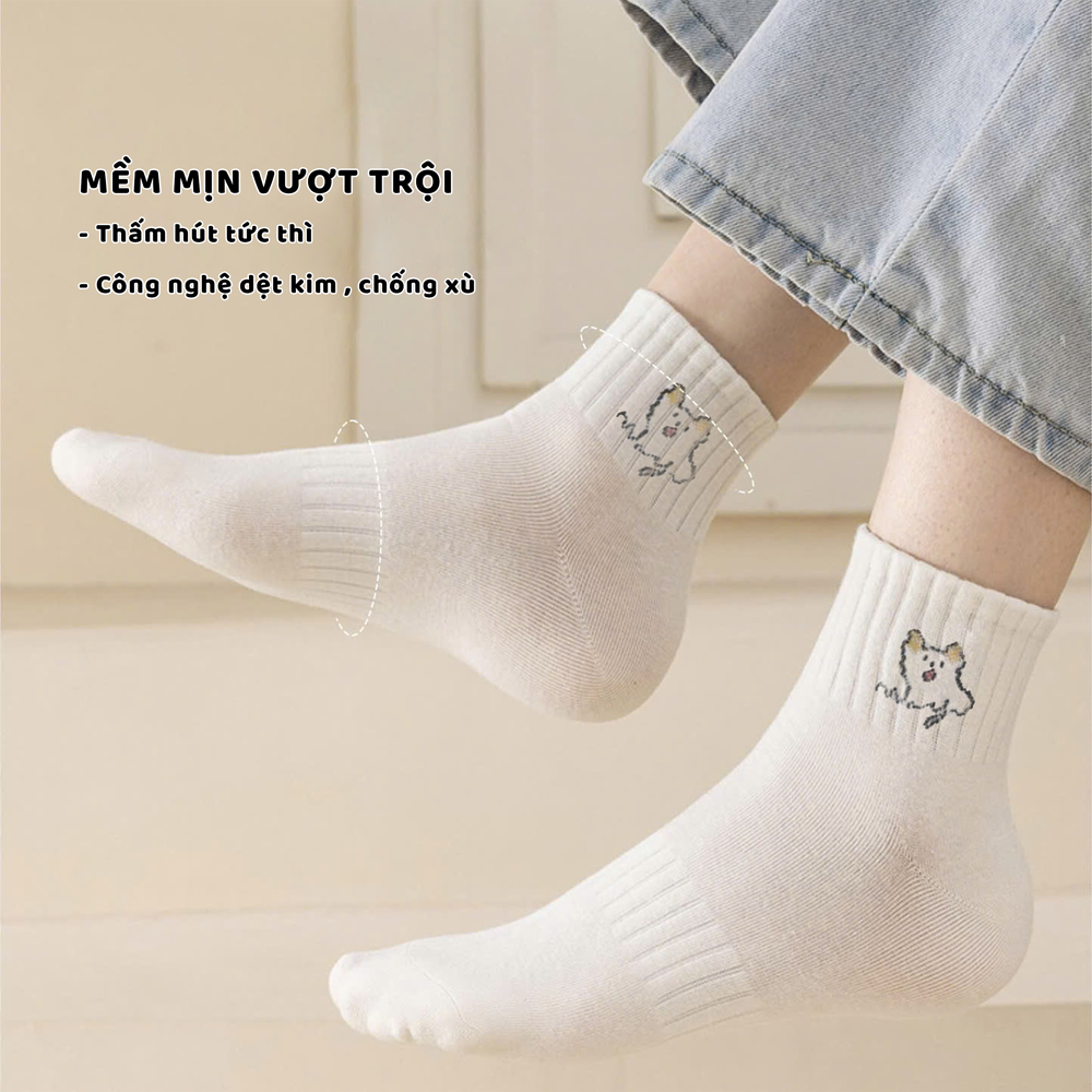 Tất vớ cổ thấp set 5 đôi phong cách Hàn Quốc, chất liệu mềm mịn co giãn 4 chiều - Ekiu Shop