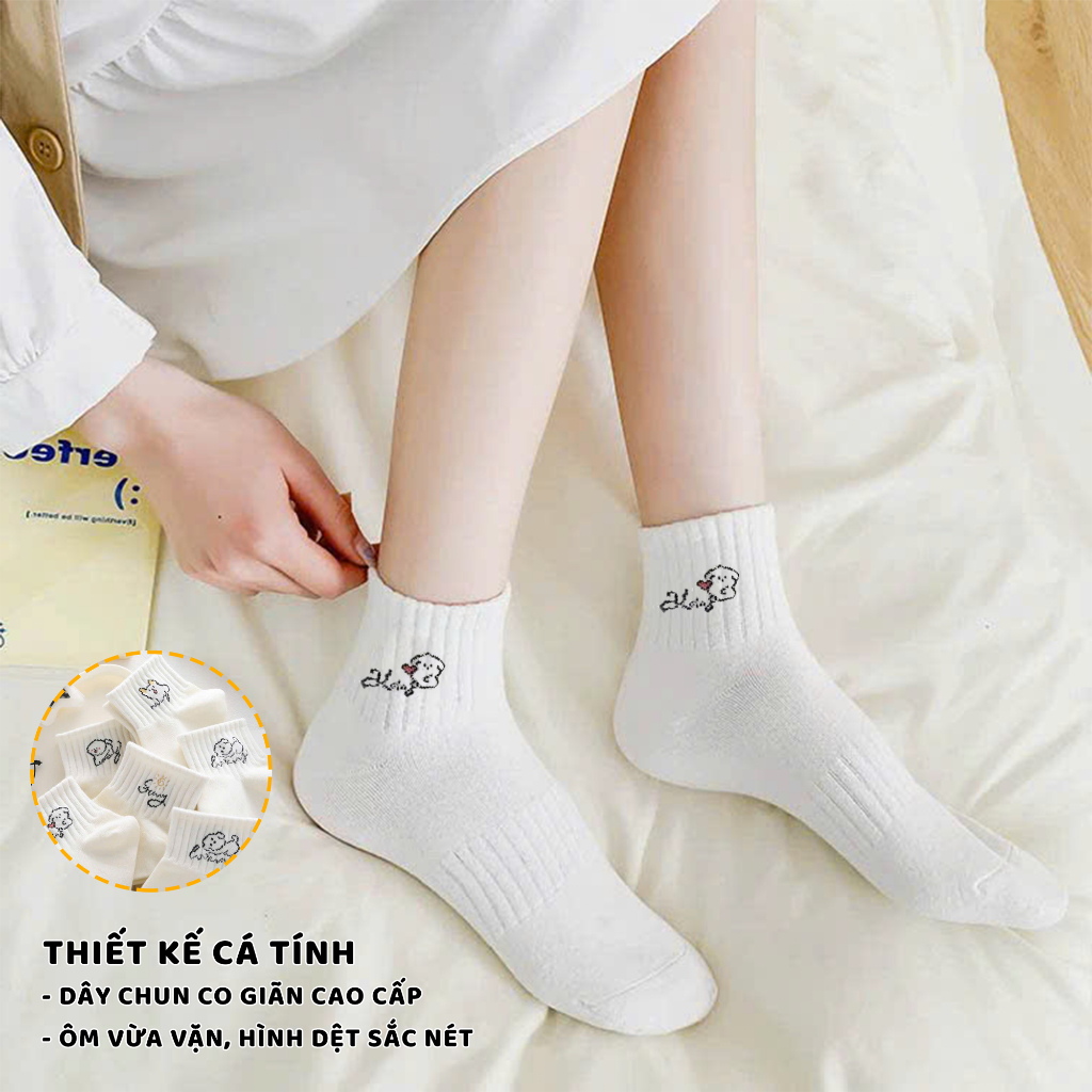 Tất vớ cổ thấp set 5 đôi phong cách Hàn Quốc, chất liệu mềm mịn co giãn 4 chiều - Ekiu Shop