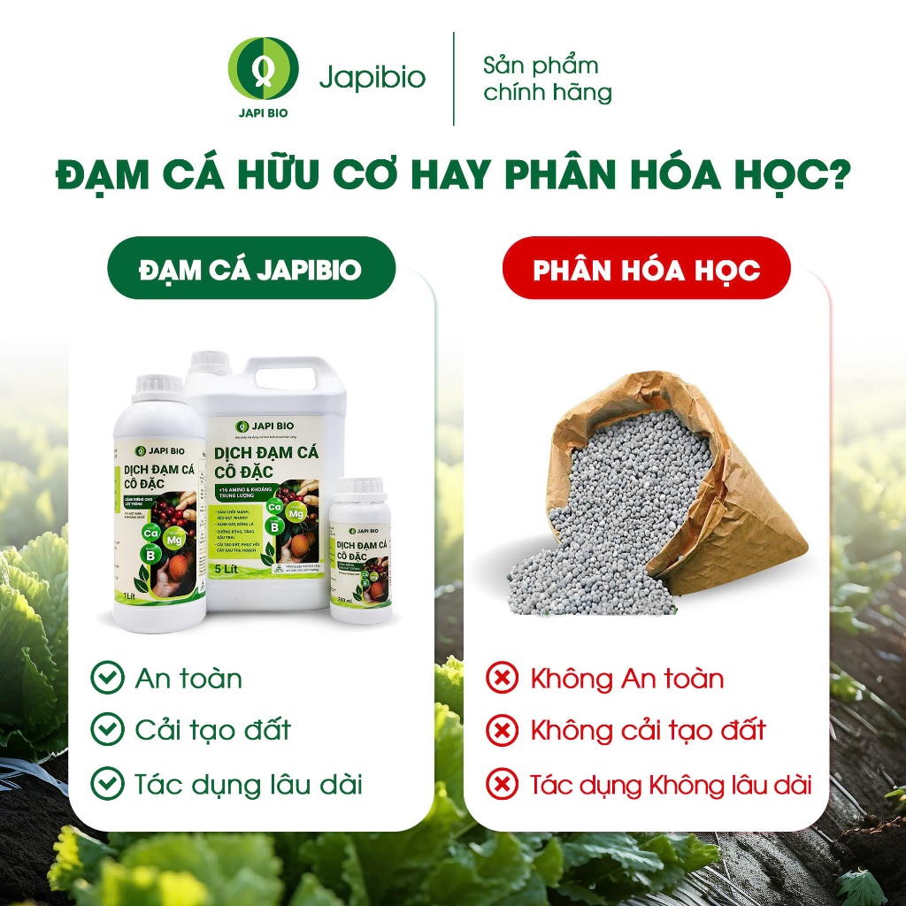 Đạm cá amino cô đặc Japi Bio 250ML 1L 2L  – Dinh dưỡng gấp 3 lần – Siêu kích rễ, bật chồi, ra hoa và đậu quả