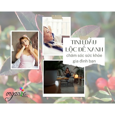 TINH DẦU LỘC ĐỀ XANH (WINTERGREEN)