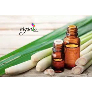 TINH DẦU SẢ JAVA (JAVA CITRONELLA) 50ml 100ml
