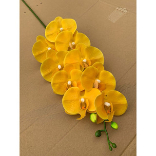 ComBo 10 cành lan ướt 9b💥HÀNG CAO CẤP💥 Lan Hồ Điệp Cao Su Ướt Thân Đốm 9 Bông, Cành 95cm Dài Đẹp Trang Trí Nhà Cửa