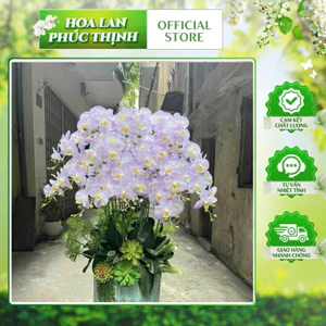 ComBo 10 cành lan ướt 9b💥HÀNG CAO CẤP💥 Lan Hồ Điệp Cao Su Ướt Thân Đốm 9 Bông, Cành 95cm Dài Đẹp Trang Trí Nhà Cửa