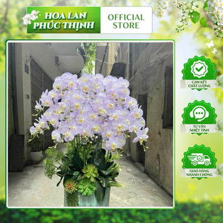 ComBo 10 cành lan ướt 9b💥HÀNG CAO CẤP💥 Lan Hồ Điệp Cao Su Ướt Thân Đốm 9 Bông, Cành 95cm Dài Đẹp Trang Trí Nhà Cửa