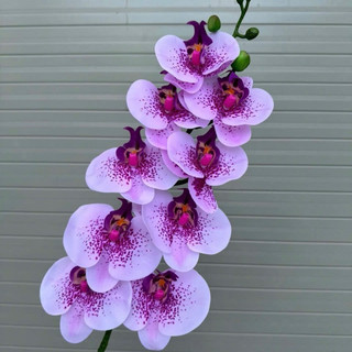 ComBo 10 cành lan ướt 9b💥HÀNG CAO CẤP💥 Lan Hồ Điệp Cao Su Ướt Thân Đốm 9 Bông, Cành 95cm Dài Đẹp Trang Trí Nhà Cửa