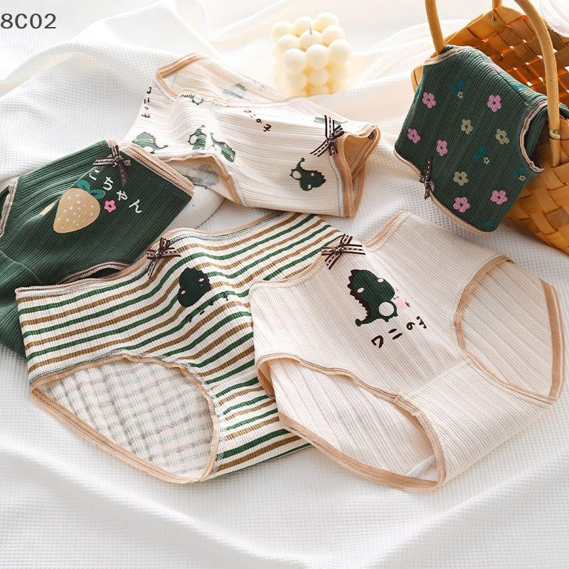 Sét 10 Quần Lót Nữ Cotton tăm mềm cute , co giãn 4 chiều viền ren hàng cao cấp 051