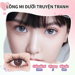 Lông mi giả Anjosirma dưới ngọn lửa nhỏ phân đoạn tự nhiên Stalk trong suốt siêu mềm