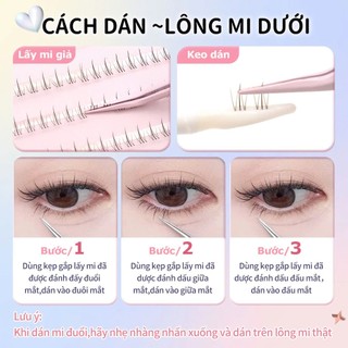 Lông mi giả Anjosirma dưới ngọn lửa nhỏ phân đoạn tự nhiên Stalk trong suốt siêu mềm