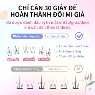 Lông mi giả Anjosirma dưới ngọn lửa nhỏ phân đoạn tự nhiên Stalk trong suốt siêu mềm
