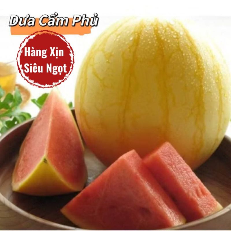 Hạt Giống Dưa Hấu Cẩm Phủ Vàng Ruột Đỏ ♥️ Hàng Xịn Chất Lượng Cao
