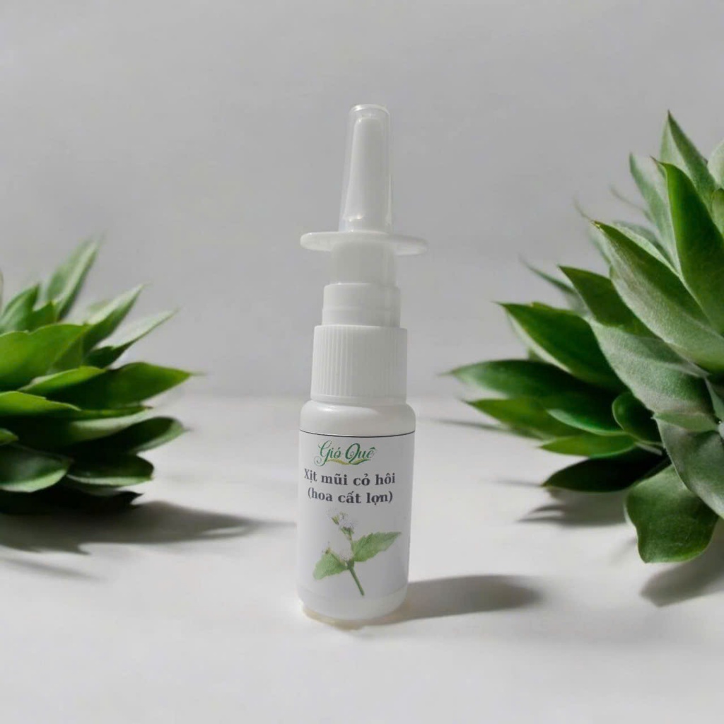 Nước cất cỏ hôi (hoa cứt lợn) Gió Quê - xoang, mũi dị ứng