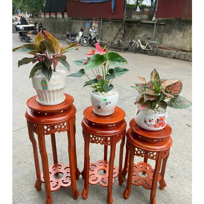 đôn Phượng gỗ gõ mặt 30 cao 40,50,60,70,80