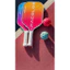 Cặp Vợt & 2 Bóng Pickleball Facolos Ex Power chính hãng, gia đình couple vui vẻ