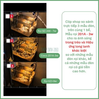 Đèn Rọi Mini Coco - Điều Chỉnh Tiêu Cự - Phù Hợp Bể Cá Cảnh, Bán Cạn, Tiếu Cảnh, Biotop