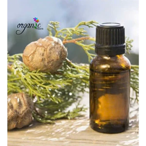 TINH DẦU TRẮC BÁCH DIỆP / TRẮC BÁ DIỆP (CYPRESS ESSENTIAL OIL) 5mL 10mL 15mL