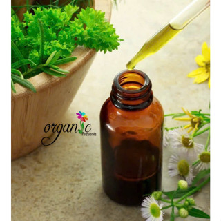 TINH DẦU TRẮC BÁCH DIỆP / TRẮC BÁ DIỆP (CYPRESS ESSENTIAL OIL) 5mL 10mL 15mL