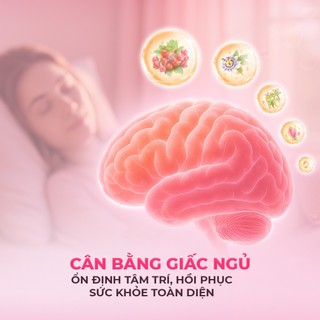 Viên Uống Powergra Gentle Dreams Hỗ Trợ Ngủ Ngon, Ngủ Sâu Giấc, Giảm Căng Thẳng - Hộp 60 Viên