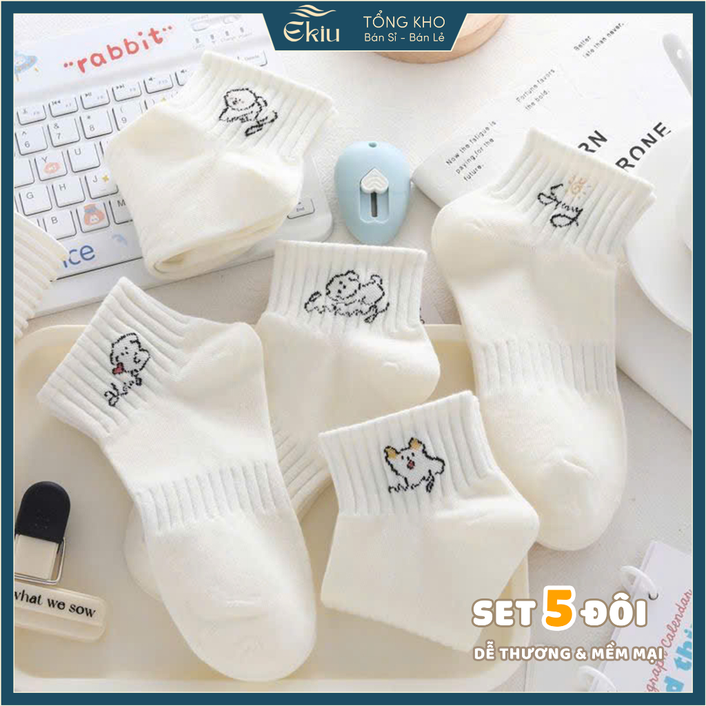 Tất vớ cổ thấp set 5 đôi phong cách Hàn Quốc, chất liệu mềm mịn co giãn 4 chiều - Ekiu Shop